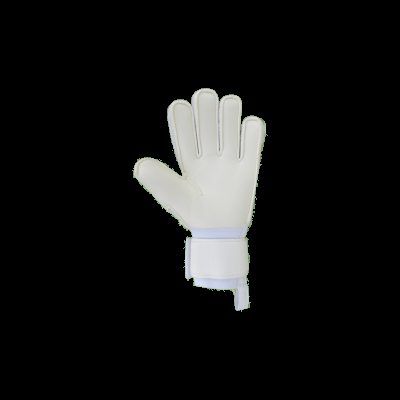 Ivory Flat JR Palma