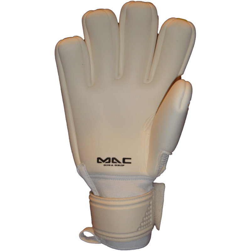 Ivory Evolution Negativo