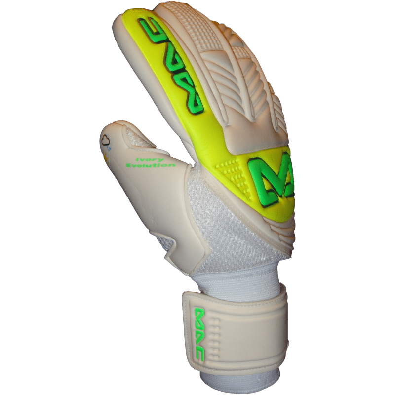 Ivory Evolution Negativo